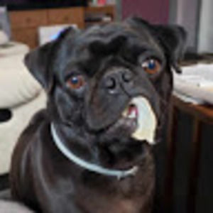 Meet your Posher, Isabel